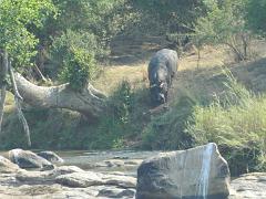 Suedafrika (219)